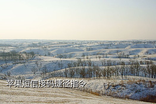手机赚钱接码骗局