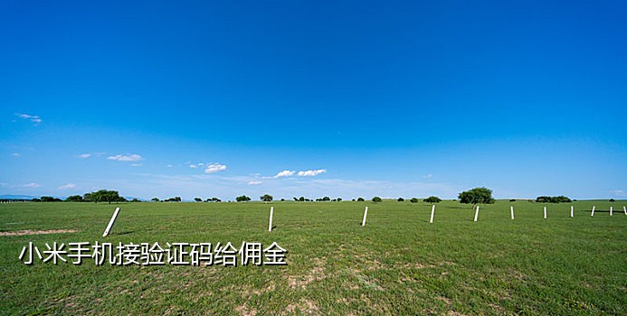 手机验证码代接软件