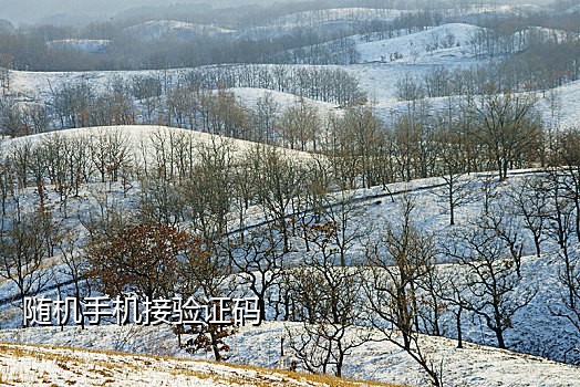 手机无限接码