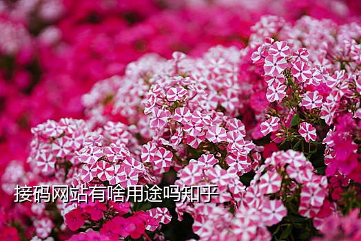 手机淘宝拉新 接码