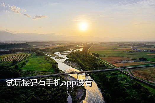 手机接验证码特曼