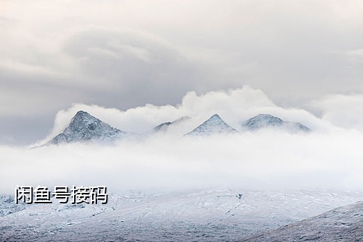 手机接码小号申请流程图片