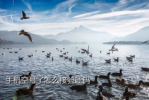 手机接码平台怎么用啊苹果系统