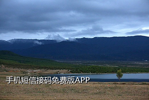 手机接不到软件验证码短信