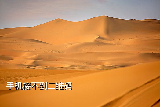 手机接不到短信健康码怎么办