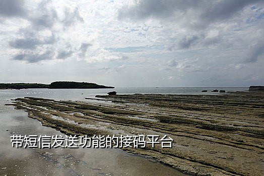 手机号码接码发短信平台