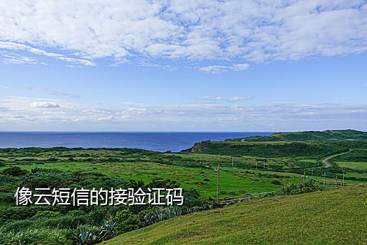 手机号码接不到短信验证码