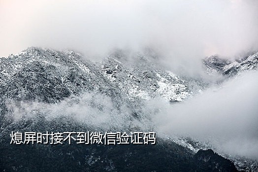 手机号接码工具