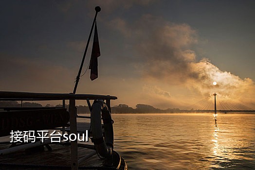 七星短信接码平台下载