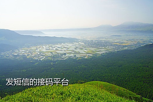 七年接码平台手机版