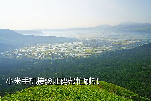 苹果手机接码网站