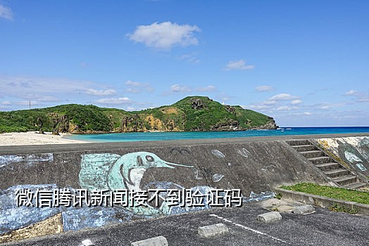 苹果13接不到验证码