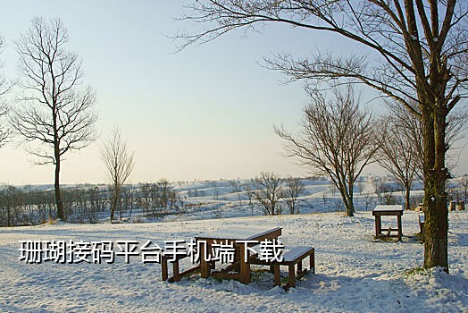 批量手机号接码注册APP