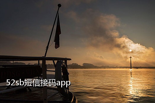 哪种手机接码平台好
