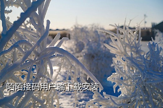 免费接陌陌验证码