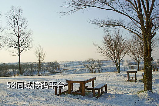 免费短信接码器