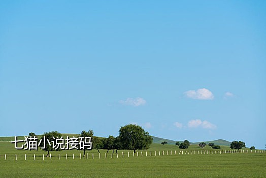 美团外卖接码贴吧