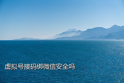 美国手机号接码价格