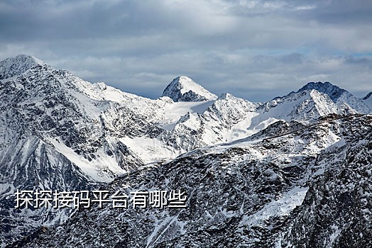 榴莲云短信接码