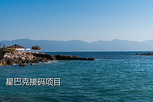 临时手机号接码怎么弄