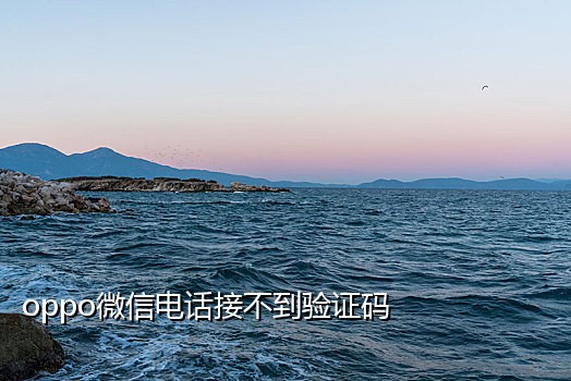 蓝鲸接码软件手机