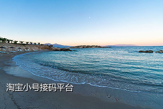 快手接码是什么