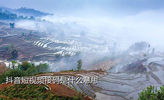 快手接码被警察抓
