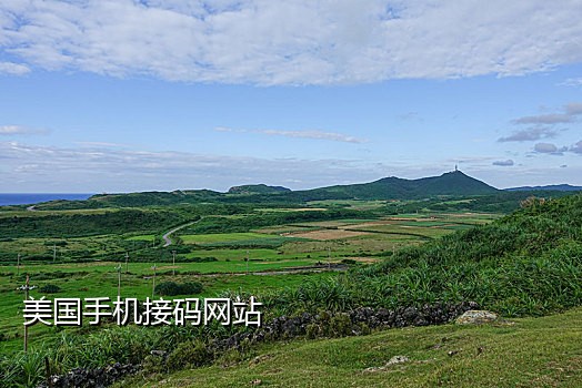 可以接支付宝的接码平台
