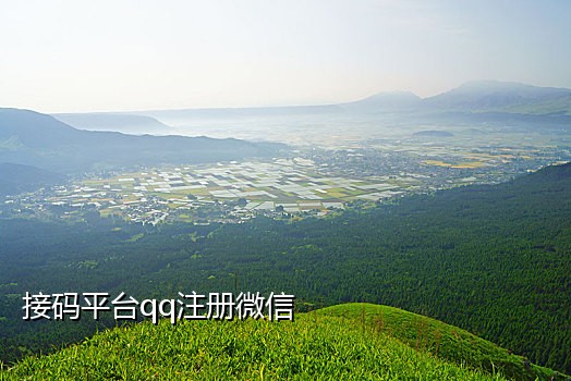 可以接淘宝的接码平台