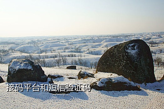 京东注册手机接码