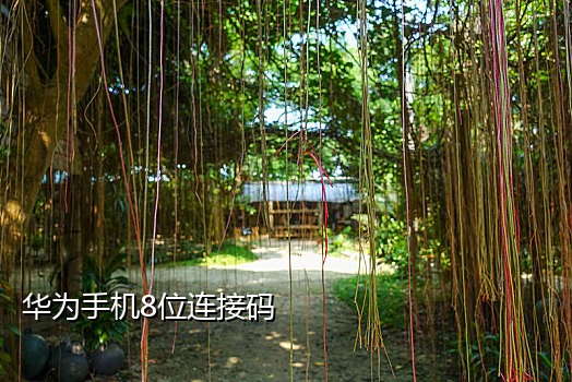 京东接码价格是多少