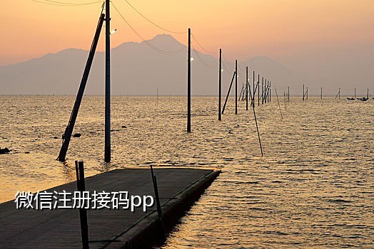 接一个支付宝注册码多少钱