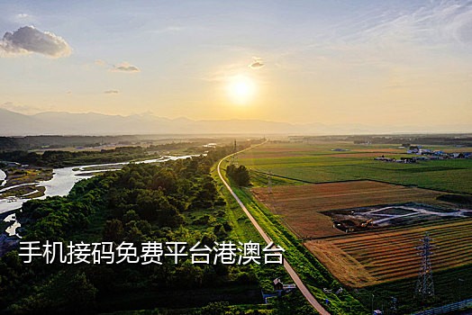 接码手机号平台是什么意思啊