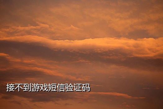 接码平台语音最新更新网站