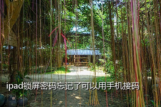 接码平台 微信支付