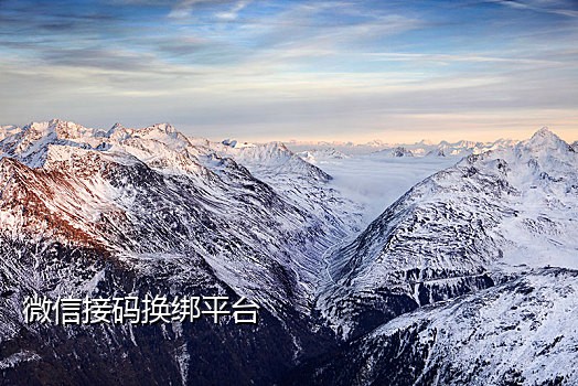 接码短信验证码软件哪个好