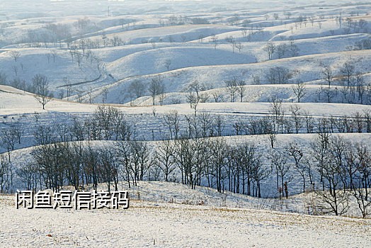 接二维码实现微信支付模块