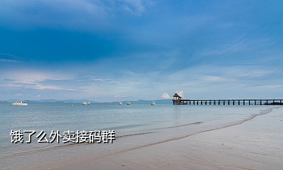 番薯接码APP百度云共享