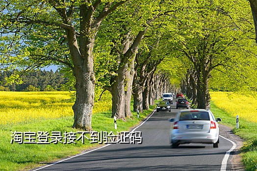 短信接码怎么挣钱