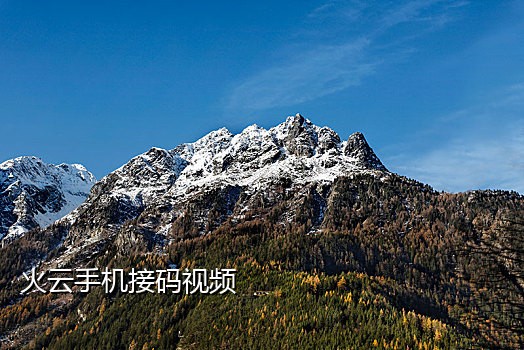 短信接码违法吗