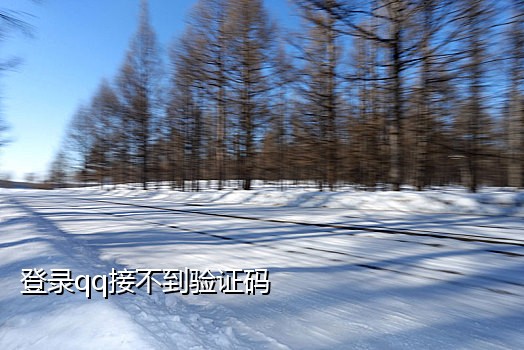 短信接码取号软件