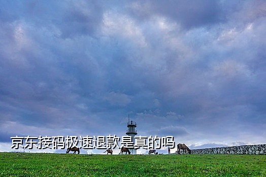 接码短信平台注册