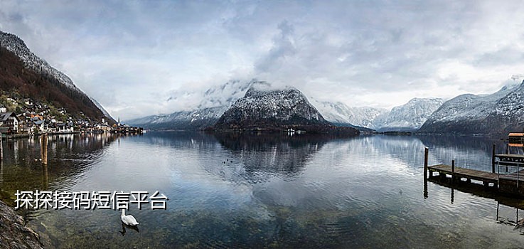 短信接码谷歌