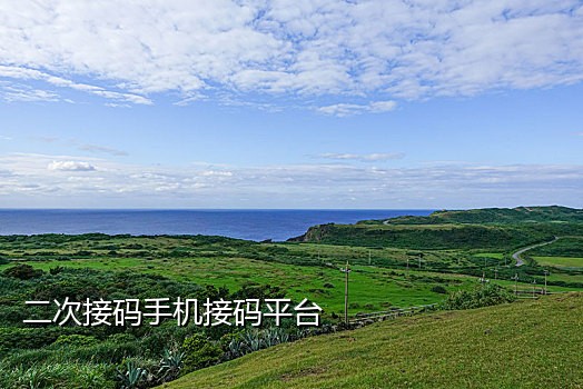短信接码供应商是什么意思