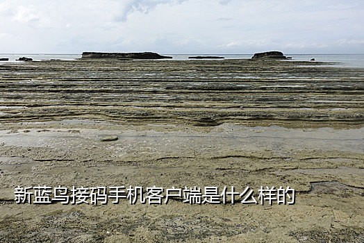 接码短信平台椰子