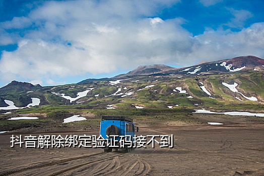 抖音淘宝京东首卡接码