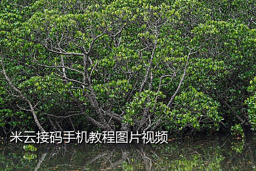 登录接码平台的微信