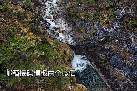 接码短信平台2023