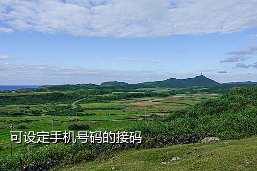 斑马接码手机app