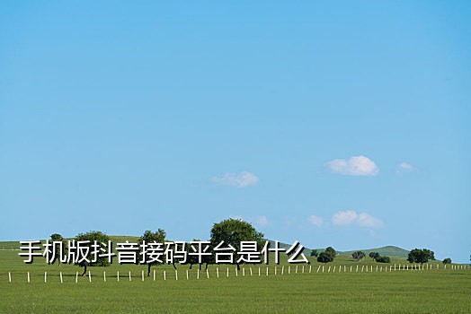 百度网盘接不到手机验证码